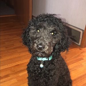 Meet your Posher, Beth